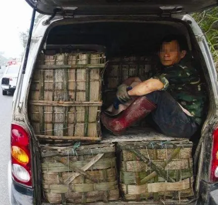 155跑宝宝环赚钱吗 梦幻西游155跑环赚钱吗