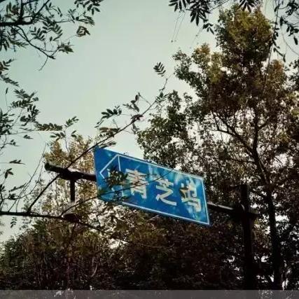 杭州市什么烟卖的多啊