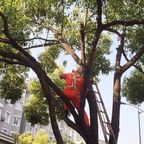 杭州市临平区工作怎么样