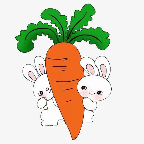 生肖属兔219年运势(属兔的人2019年的运气)