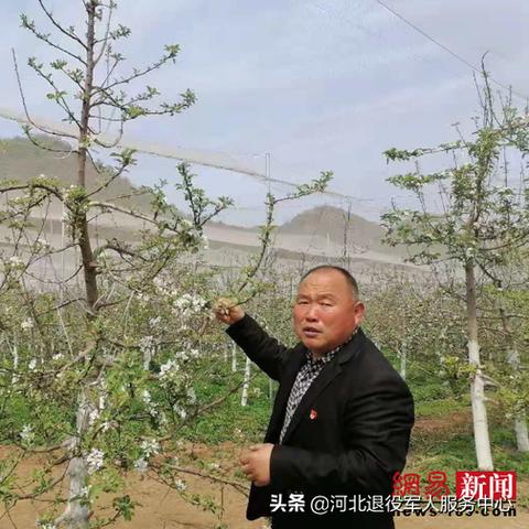 保定市军人政策文件的长尾关键词有哪些