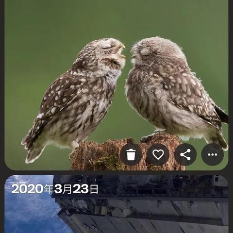 网盘的版本号怎么看的出来