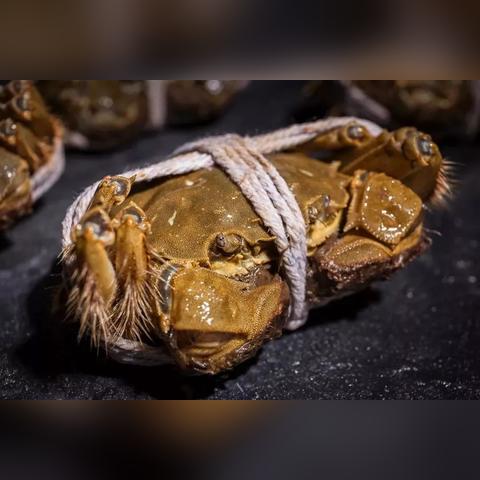 大闸蟹跨境电商产品 的拓展长尾关键词有什么