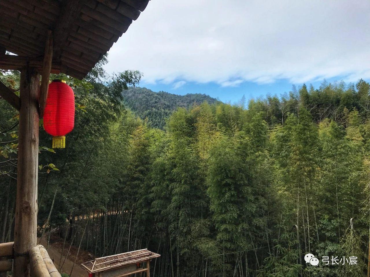 一什么翠竹美食（四川眉山是好地方吗）