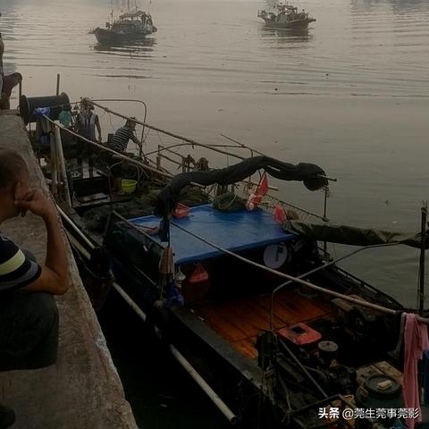 东莞市码头港口有哪些公司