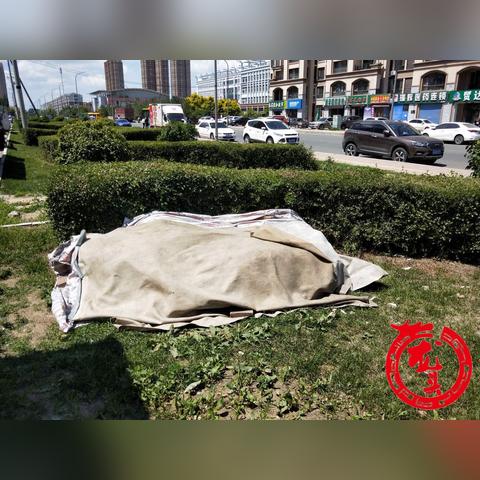 哈尔滨市第一中学多少分