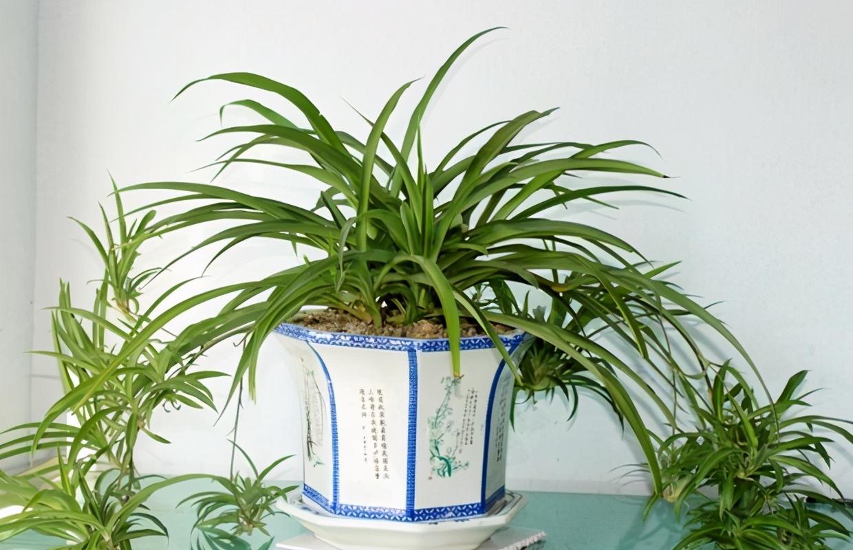 我是新手(新手想投资股票应该做些什么)