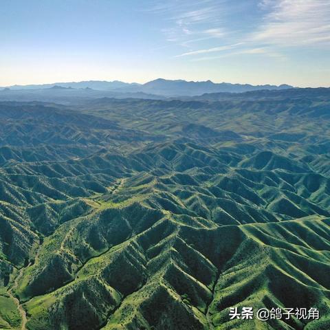天津生态大街是哪个区