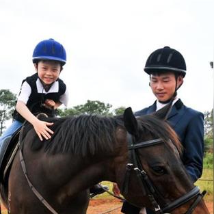 石家庄市历年文科状元的长尾关键词有什么