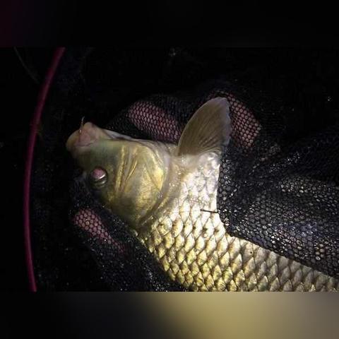 无锡市有哪里野钓的地方