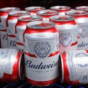 大连百威招聘的相关长尾关键词有哪些