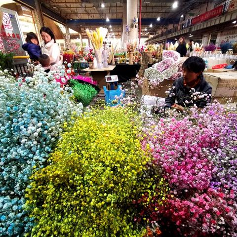 昆明市哪里有卖鲜花种苗