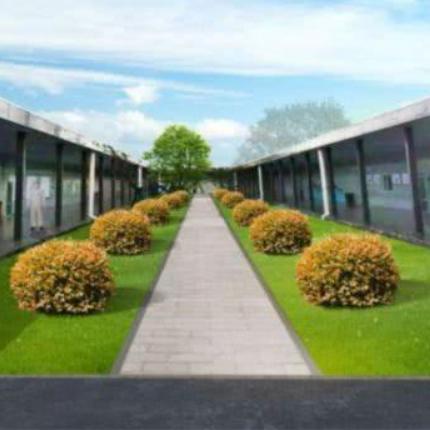 长沙香樟医院相关长尾关键词有哪些