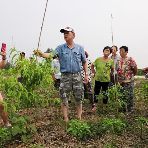 保定市康健医院的长尾关键词有什么