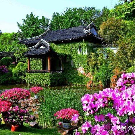 长沙市恒大城哪个区