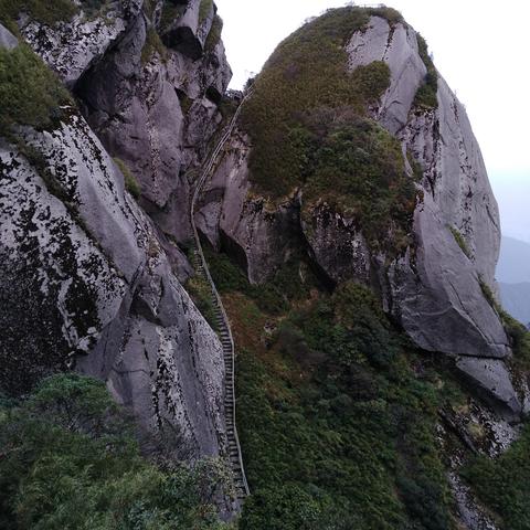猫儿山怎么回桂林市