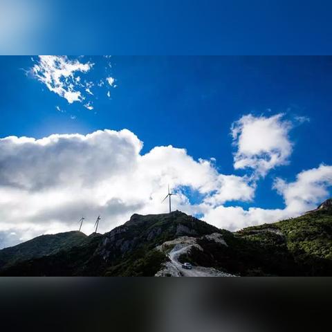 宁波市宁海县有什么茶