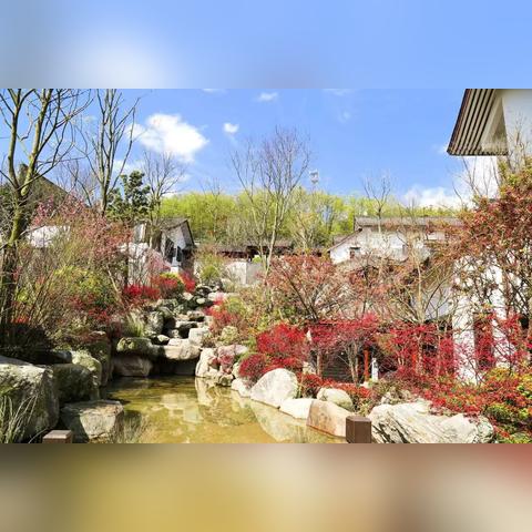 从成都市区怎么去青城山