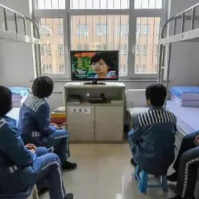 石家庄市监狱哪个区