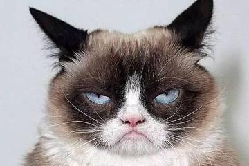 看不我大爽，极度不爽表情包