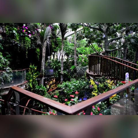 广州市有什么市区