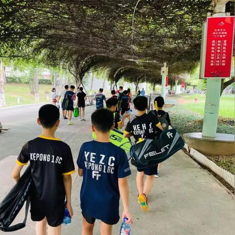 怎么查东莞市小升初成绩