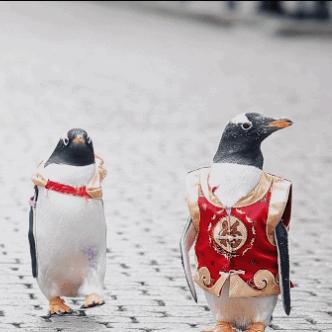 哈尔滨市去哪里逛街