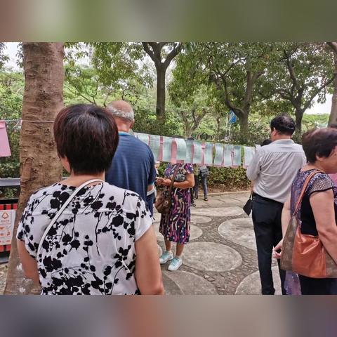 厦门市收鸽子电话多少啊