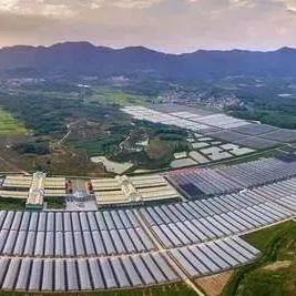 【杭州今日生猪价格】2025年6月30日杭州生猪价格是多少