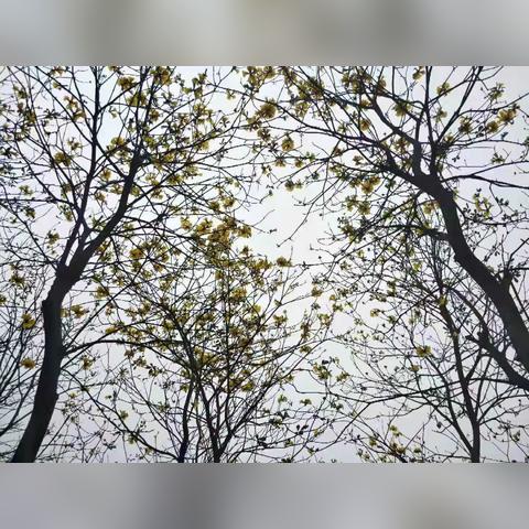 青秀山北门到风铃谷怎么走？