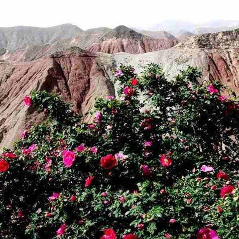 旅游之乡是哪里？