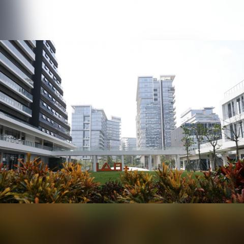 东莞市农村公园在哪里建