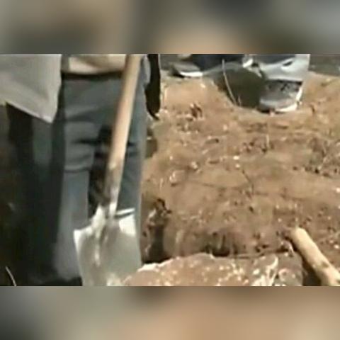 南宁朝阳风水小区的相关长尾关键词有哪些