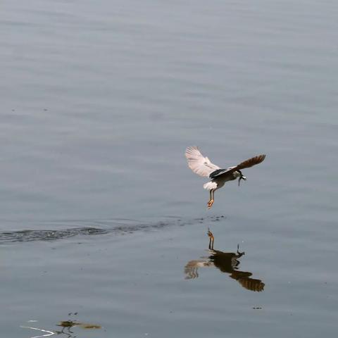 河岸边赶小鱼的工具百度长尾关键词有哪些