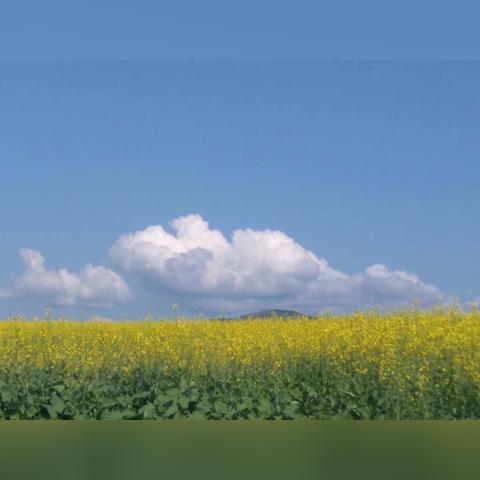 广东省佛山市岭君广场的长尾关键词有什么