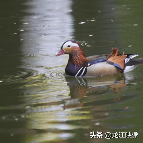 怎么在哈尔滨落户相关长尾关键词有哪些