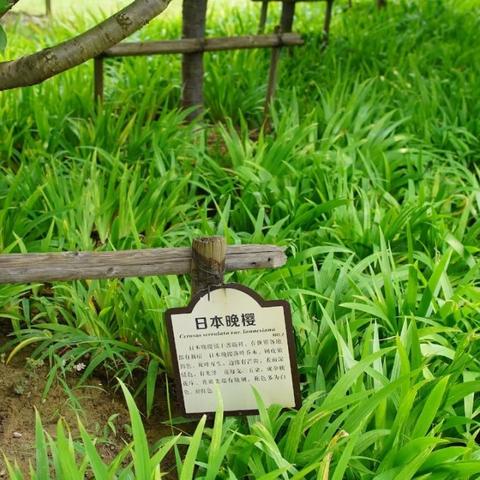 无锡市的足球运动员的长尾关键词有哪些