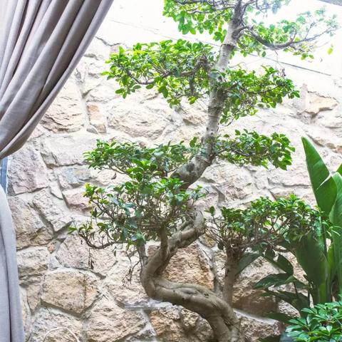 温州市去洞头在哪里坐车