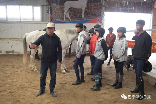 成立马术学校，新建马文化旅游中心…马产业成为巴彦淖尔发展新引擎