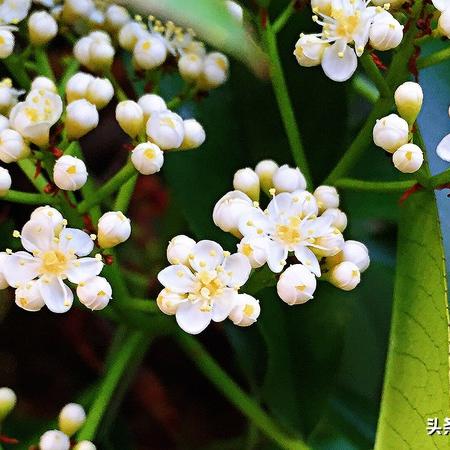 无锡市友谊医院的长尾关键词有哪些