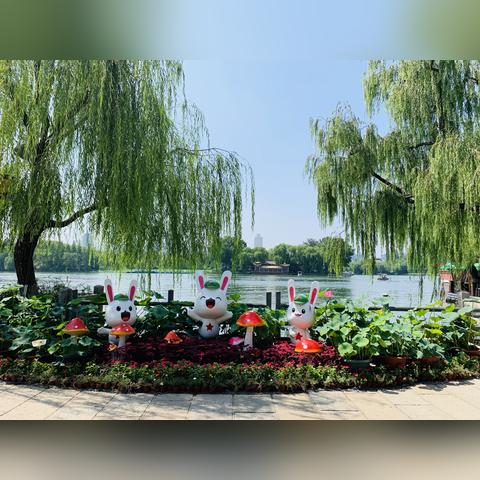 济南市明湖小区公交车有哪些