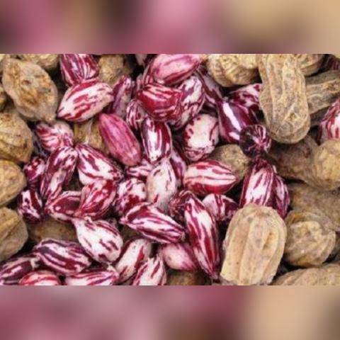 河南特产店铺的相关长尾关键词有哪些