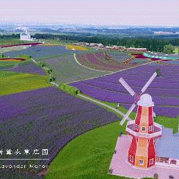 哈尔滨考试信息港相关长尾关键词有哪些