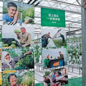 潍坊市甜瓜批发哪里最多