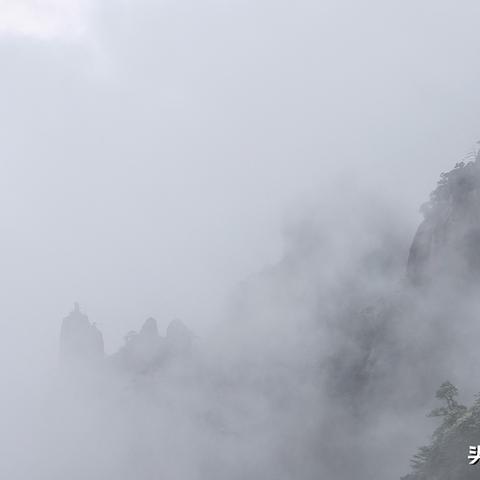 精选推荐！上海浦东日上免税店香烟特惠 - 2 - www.680860.com微商资讯网