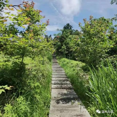 温州市石材清洗公司的长尾关键词有哪些