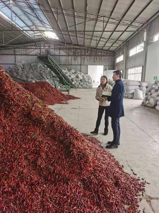 重庆三峡银行"辣椒贷"助力特色产业服务脱贫攻坚
