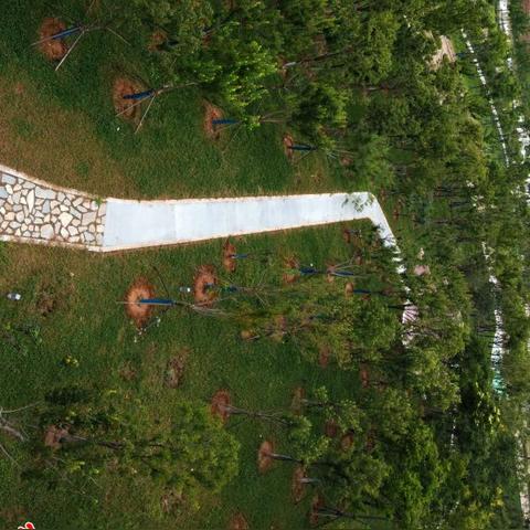 武汉这个月底可以出去吗？