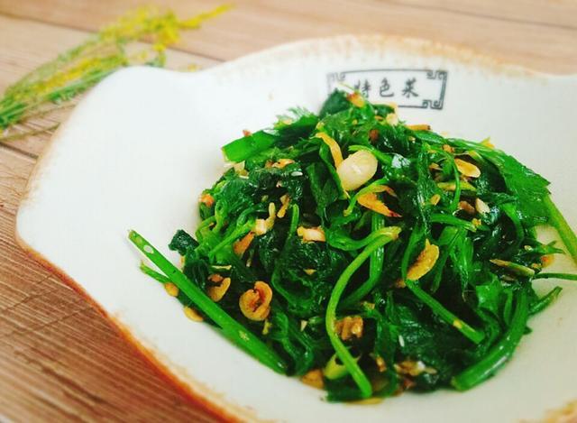 叶能做什么美食（萝卜叶子能吃吗）