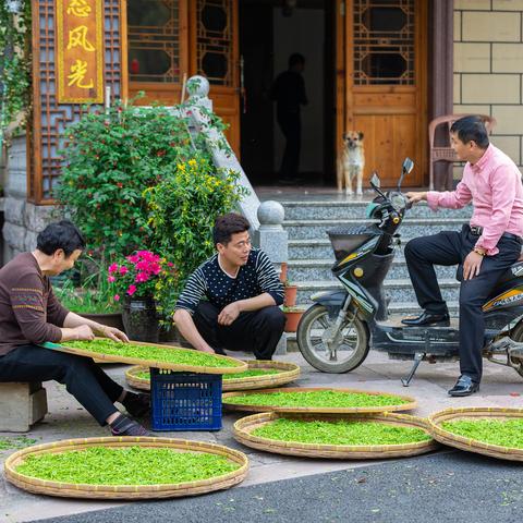 2025.11.13宁波今天空气质量指数怎么样